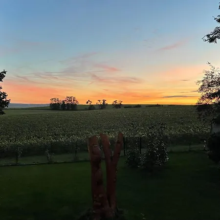 Best View, Pool And Spa On The Champagne Vineyard Saint-Thierry Exterior photo