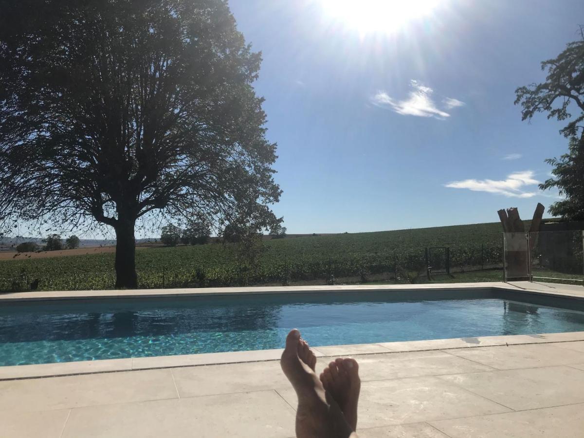 Apartment View, Pool And On The Champagne Vineyard *