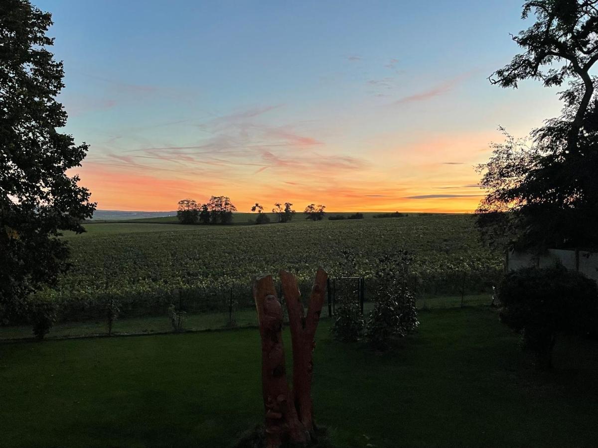 Apartment View, Pool And On The Champagne Vineyard *