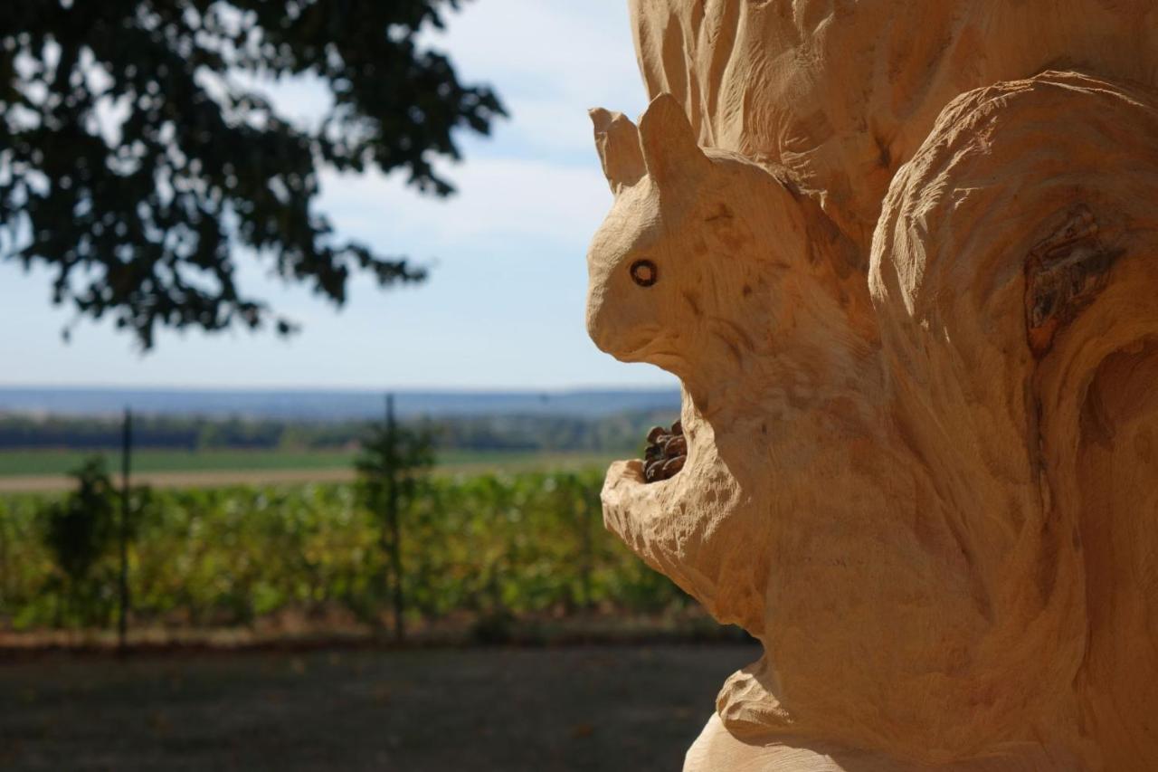View, Pool And On The Champagne Vineyard * Saint-Thierry