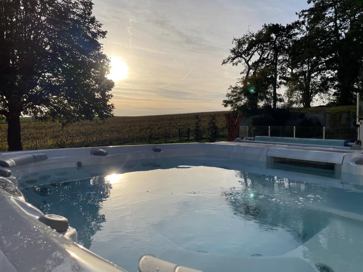 Apartment View, Pool And On The Champagne Vineyard *