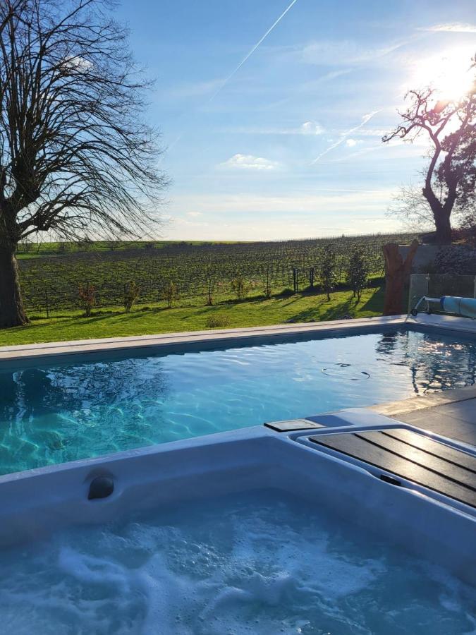 View, Pool And On The Champagne Vineyard Apartment *