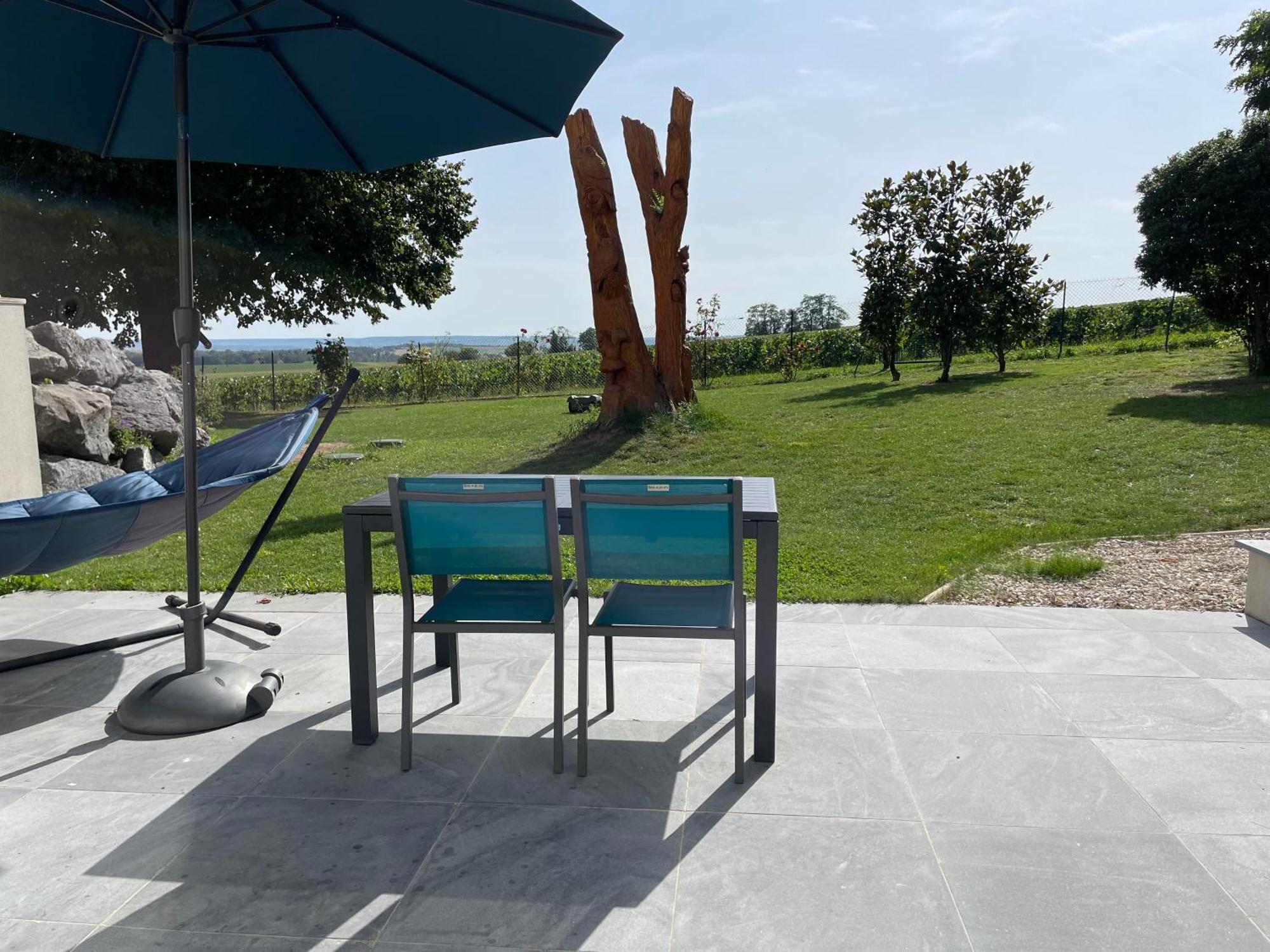 Apartment View, Pool And On The Champagne Vineyard Saint-Thierry