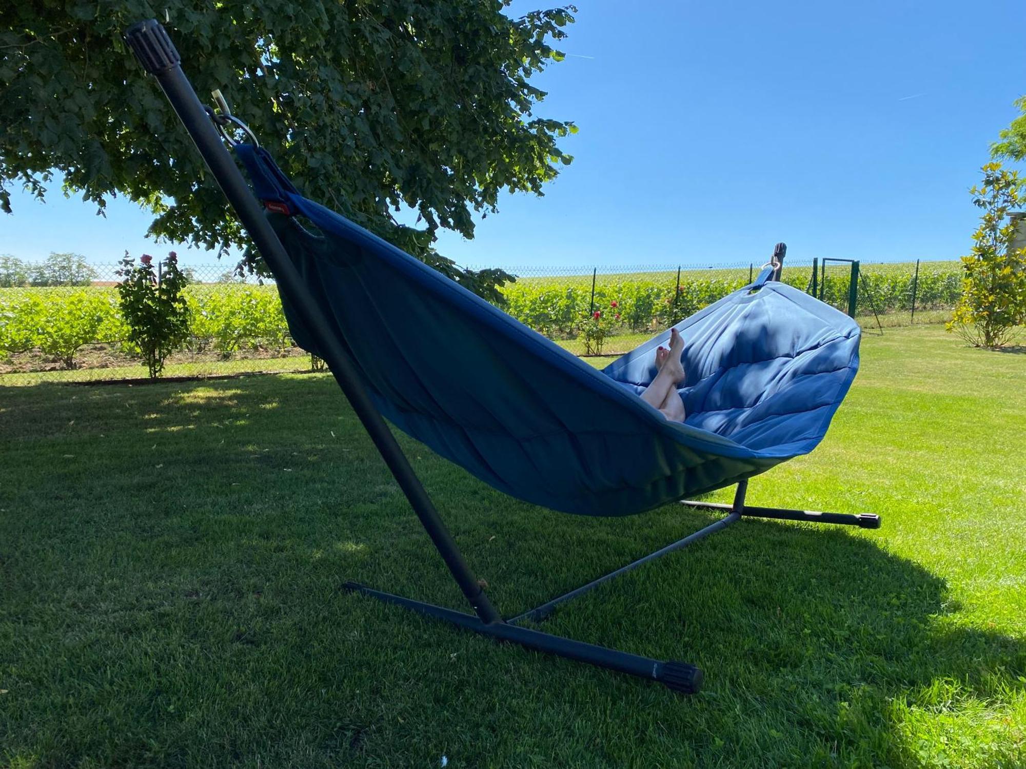 View, Pool And On The Champagne Vineyard *